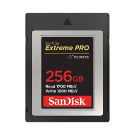 SDCFE-256G-GN4NN EXTREME PRO CF EXP CARD - أجهزة التخزين