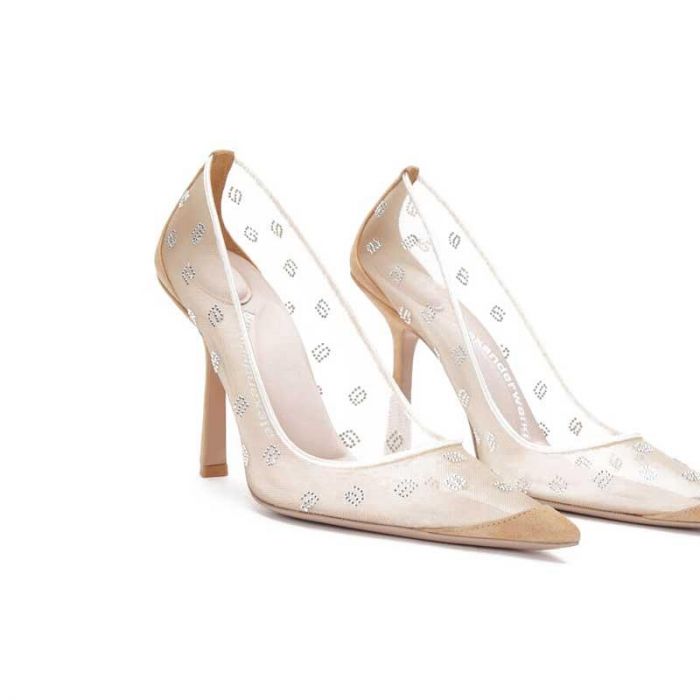 DELPHINE 105 CRYSTAL PUMP - Ø­Ø°Ø§Ø¡ ÙƒØ¹Ø¨ Ø¹Ø§Ù„ÙŠ Ø¨ÙƒØ±ÙŠØ³ØªØ§Ù„ Ø¯ÙŠÙ„ÙÙŠÙ† 105 | ALEXANDER WANG - الكسندر وانغ