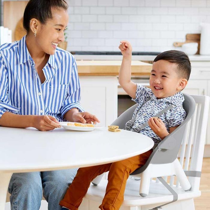 4-In-1 Highchair - كرسي أطفال | SKIP HOP - سكيب هوب