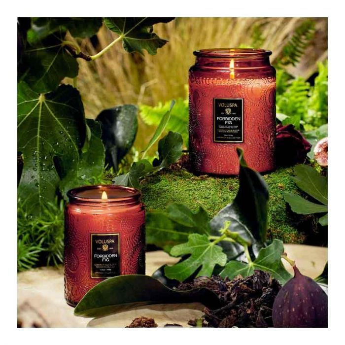 FORBIDDEN FIG LARGE JAR CANDLE 18 OZ- شمعة | VOLUSPA - فولوسبا FORBIDDEN FIG LARGE JAR CANDLE 18 OZ- شمعة | VOLUSPA - فولوسبا