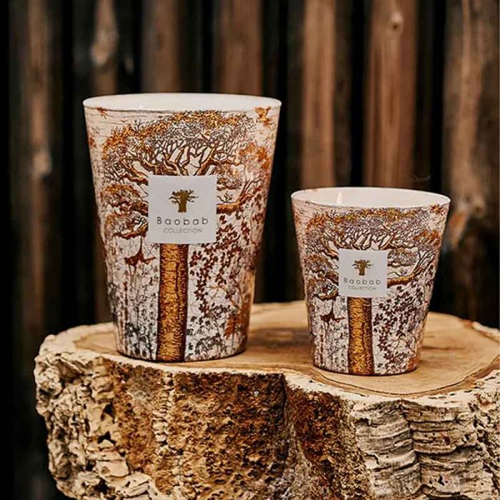 MAX 16 SACRED TREES DUALLA: BAOBAB - شمعة | BAOBAB COLLECTION - مجموعة باوباب MAX 16 SACRED TREES DUALLA: BAOBAB - شمعة | BAOBAB COLLECTION - مجموعة باوباب