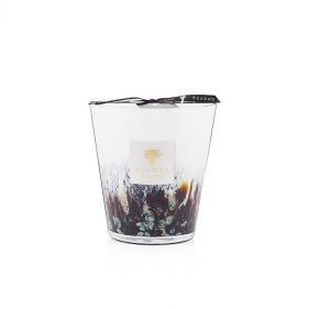 MAX 16 RAINFOREST TANJUNG : BAOBAB - شموع