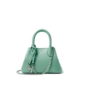PARIS BAG MINI  - حقيبة يد صغيرة الحجم