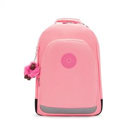 CLASS ROOM LARGE BACKPACK : KIPLING : CORAL SEA : OS - شنطة ظهر