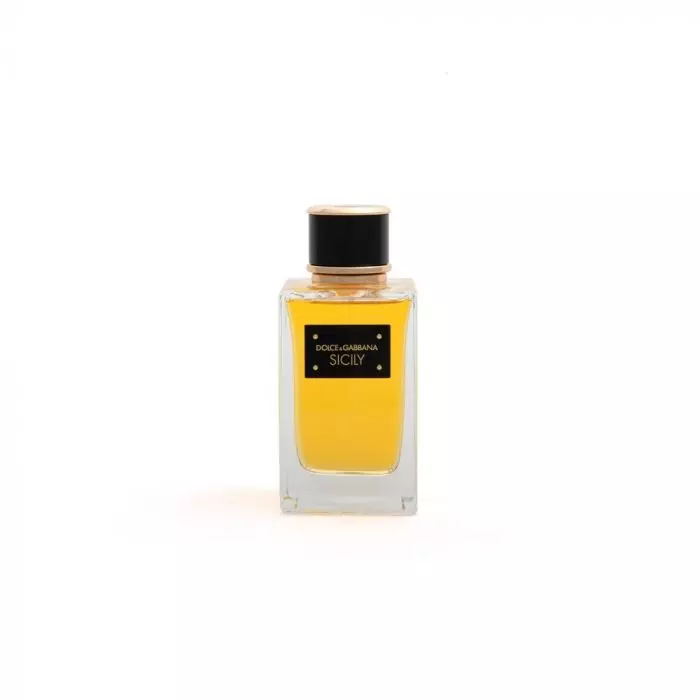 Dolce gabbana velvet sicily clearance