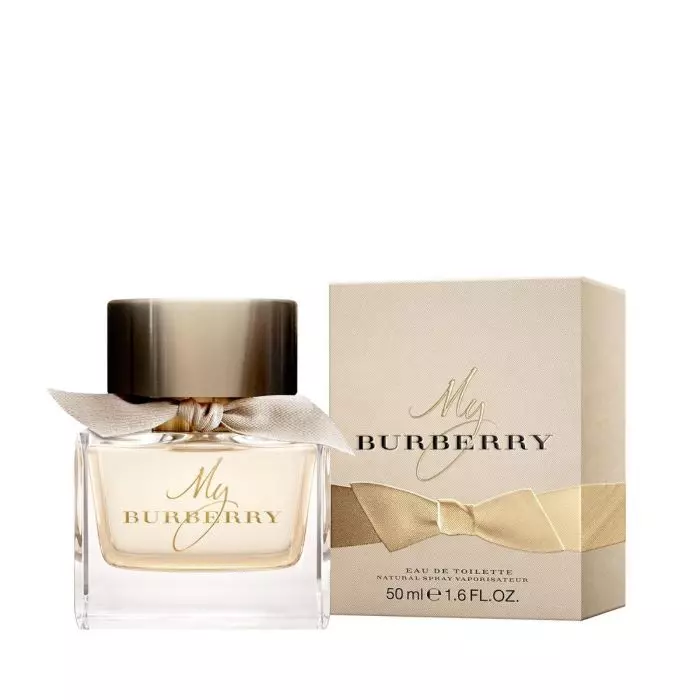 Mr burberry edt 50ml sales
